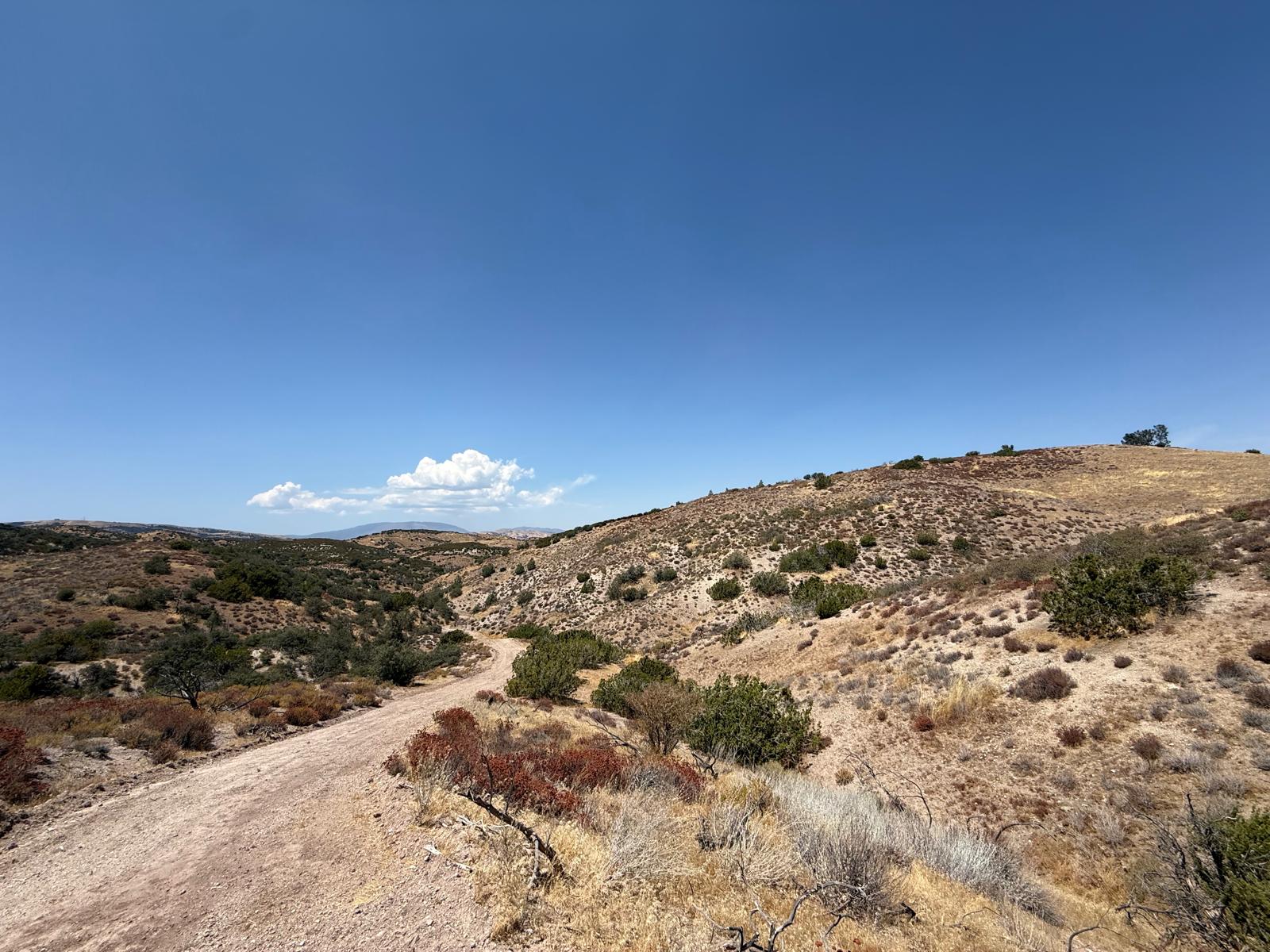 A dirt trail winding over bare hills under a deep blue sky