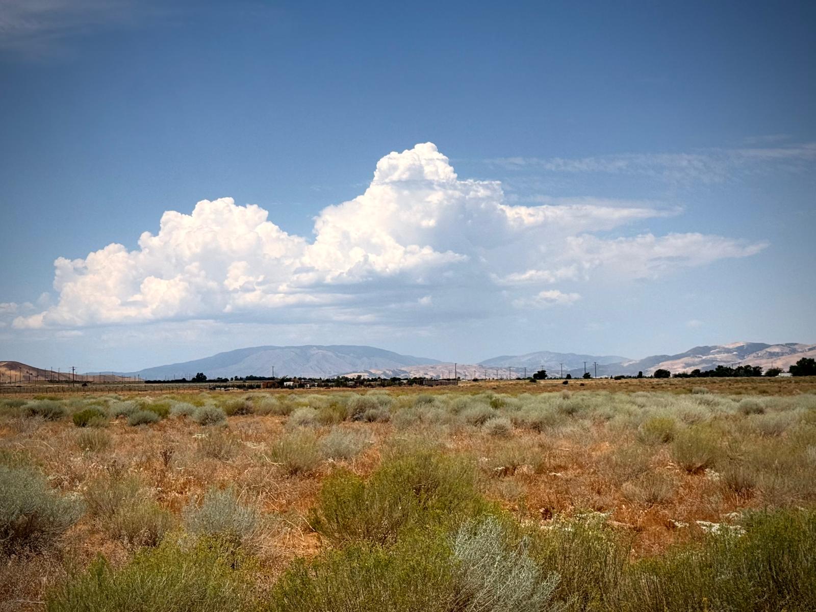 Thunderheads building over the mountains beyond the sagebrush flat